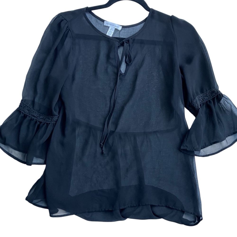 Ambiance Apparel Sheer Blouse Black‎ Size